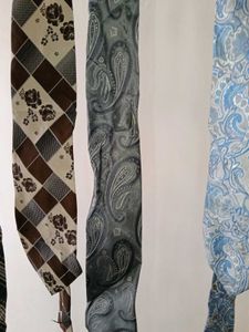 Bundle of 10 Men's Ties