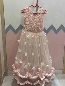 Beautiful Pink Embellished Gown
