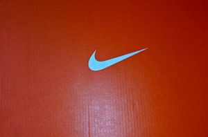 NikeCourt Borough Low Recraft Green Basketball