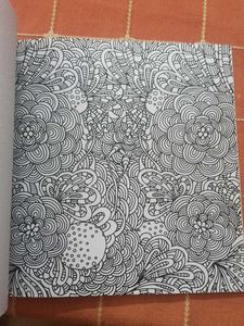 Blooming Flowers Colouring Book