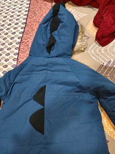 Stylish Blue Winter Jacket