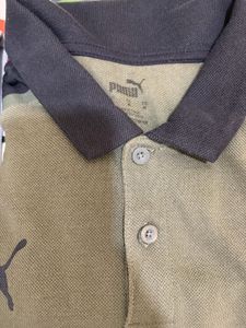 Polo Shirts Bundle