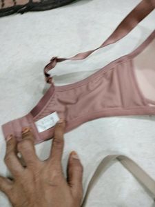 Bra Inner