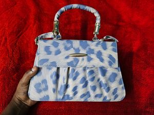 Leopard  Print Bag
