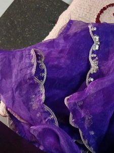 Embellished Dupatta Border