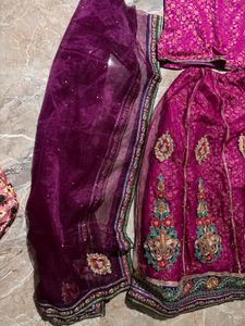 Beautiful Embroidered Lehenga Choli