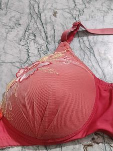 dubble padded phusup bra