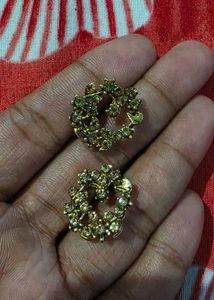 Elegant Stud Earrings