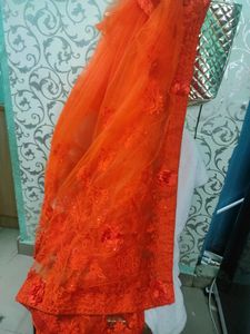 Party Wear Net Saree