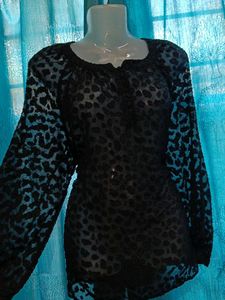 Elegant Black Sheer Blouse