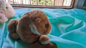 cute lion plushie | soft toys
