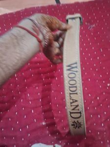 Woodland Belt