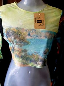 Artistic Landscape Print Crop Top no 98