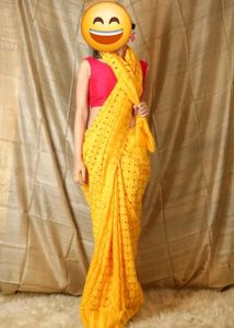 Meenakari Jamdani Saree