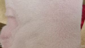 Baby Pink  Very Soft Sweater