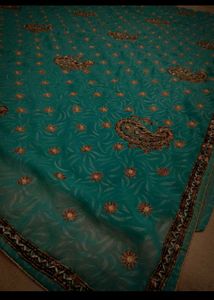 y2k Paisley sea green zari work Saree