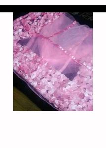 baby Pink Floral Net butter fly fabric lahanga sui