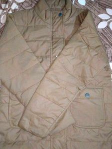 Brown Padded Casual Jacket