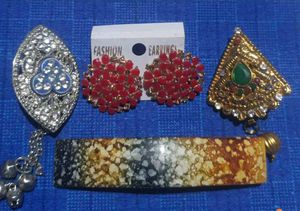 Fashion Earrings Set