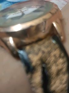 New Watch Tiger