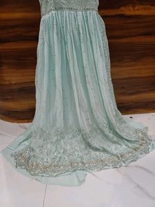 Elegant Light Green Ethnic Gown with pant