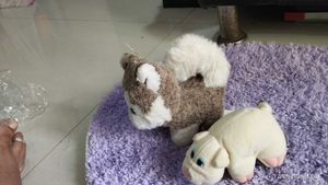 Stuffed Animal Duo: Husky &amp; Pig