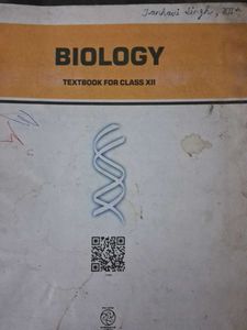 NCERT Class XII Textbooks Bundle