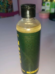 Olive Oil