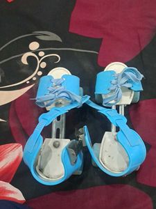 Blue Adjustable Roller Skates