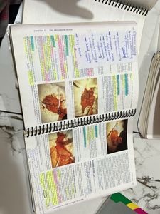 Short Practice Of Surgery
