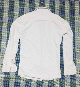 light Blue Striped Shirt MEN