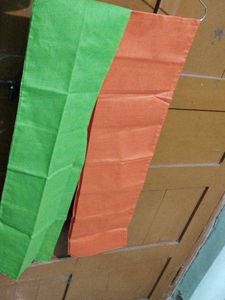 Vibrant Green & Orange Dupatta Set of 2
