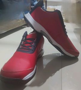 FILA men's Casual Shoes. Unused. No Coins.