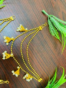 Champasaralu .Beautiful Earrings Back Chain In Ver