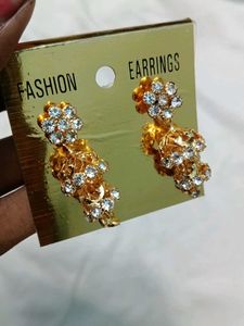 Elegant covering Earrings