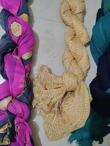 Set of 4 Colorful Dupattas