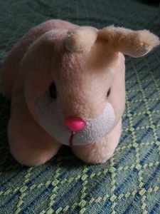 Cute Plush Dog Toy