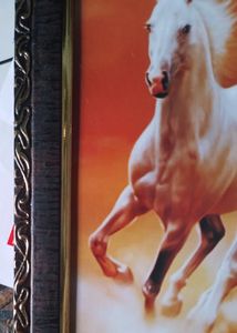 7 Horse Photo Frame 12"-8" Inch  Frame In Very Less Price