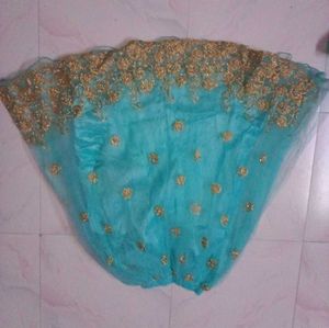 Gorgeous Sky Blue &amp; Gold Ethnic Party Wear 👗