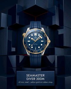 Omega Seamaster Diver Watch