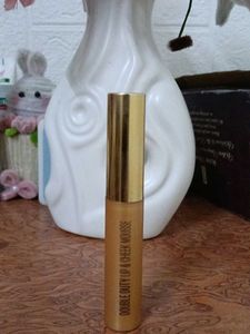 Lakme Foundation
