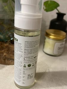 Plum - Green Tea Face Mist