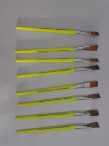 Camlin champ Paint Brushes(7 Pieces) Number 6 And 8)