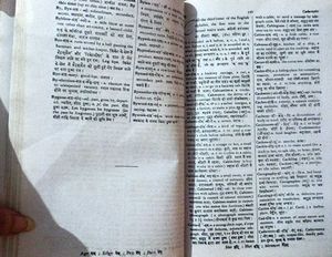 Bhargava's Dictionary English-Hindi