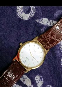 Classic Timex Watch with Brown Strap