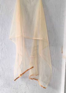 Very Beautiful Heavy Work Golden Gown With Shrug