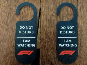 Formula 1 F1 quirky door handle 3d printed