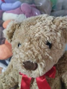 Cute Teddy Bear Plush Toy