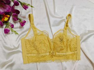 🇳🇿💫🎀Elegant Yellow Lace Bra
