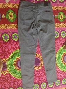 women pant